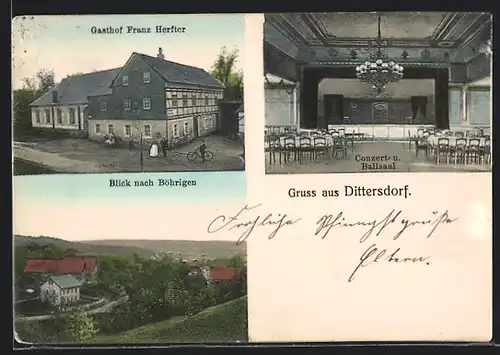 AK Dittersdorf, Gasthof Franz Herfter mit Concertsaal, Blick nach Böhrigen