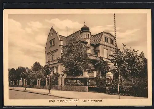 AK Bad Schmiedeberg, Hotel Villa Steinert