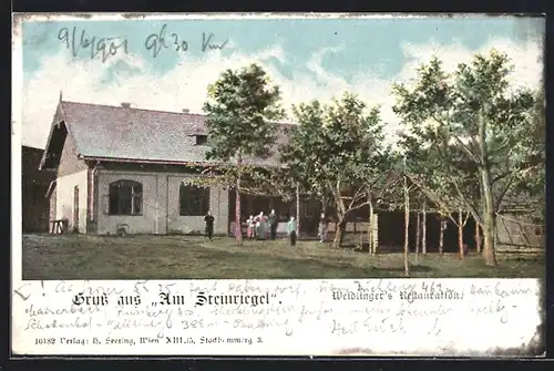 AK Wien, Gasthaus am Steinriegel, Weidlinger`s Restauration