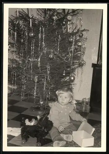 Fotografie Weihnachten, Knabe nebst Spielzeug-Hund unterm Weihnachtsbaum sitzend