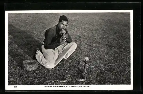 AK Colombo, Snake Charmer, Schlange