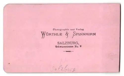 Fotografie Würthle & Spinnhirn, Salzburg, Ansicht Salzburg, Blick auf die Stadt mit dem Fluss