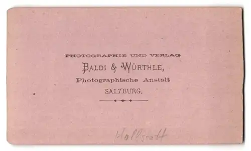 Fotografie Baldi & Würthle, Salzburg, Ansicht Hallstatt, Blick vom See nach der Stadt