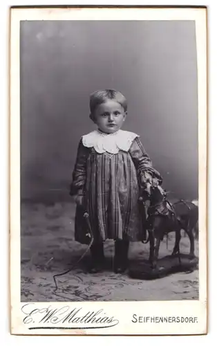 Fotografie E. W. Matthias, Seifhennersdorf, kleines Kind mit Peitsche und Holz Pferd