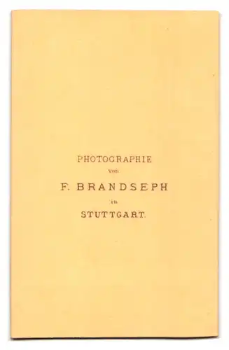 Fotografie F. Brandseph, Stuttgart, junge Mutter mit ihren beiden Kindern im Atelier