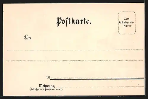 Lithographie Heidelberg, Schloss, Franck Schutzmarke, Frau in Tracht