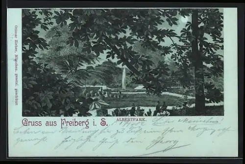 Mondschein-Lithographie Freiberg i. S., Albertpark mit Fontaine