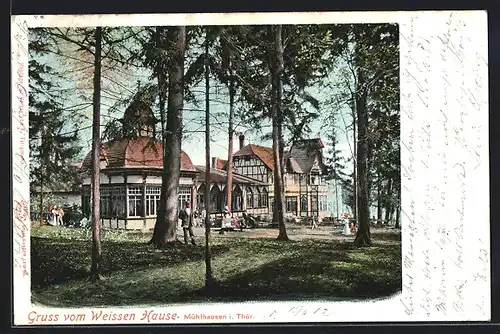 AK Mühlhausen /Th., Gasthaus zum weissen Hause F. Scheuer, Gartenansicht mit Gästen