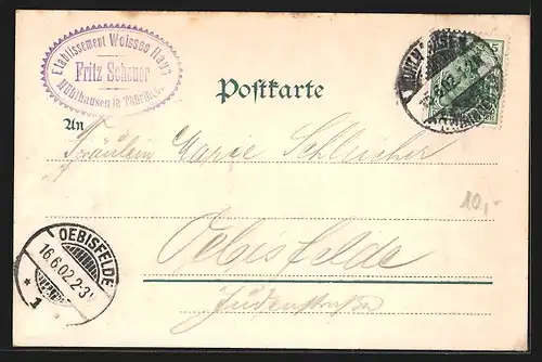 AK Mühlhausen /Th., Gasthaus zum weissen Hause F. Scheuer, Gartenansicht mit Gästen