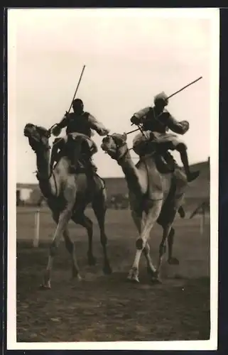 AK Arabische Soldaten auf Kamelen