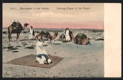 AK Abendgebet in der Wüste mit Kamelen
