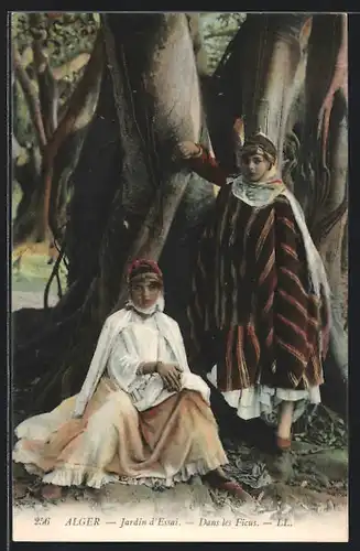 AK Algier, Jardin d`Essai - Dans le Ficus