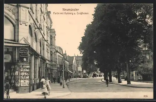 AK Neumünster, Partie m. Kuhberg und Grossflecken