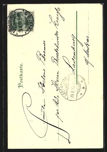 Lithographie Strassburg, Kaiserpalast, Altes Haus, Dom