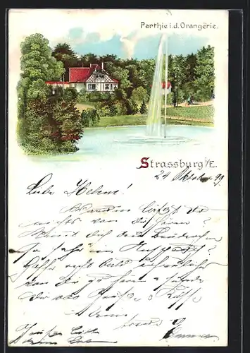 Lithographie Strassburg i. E., Parthie in der Orangerie