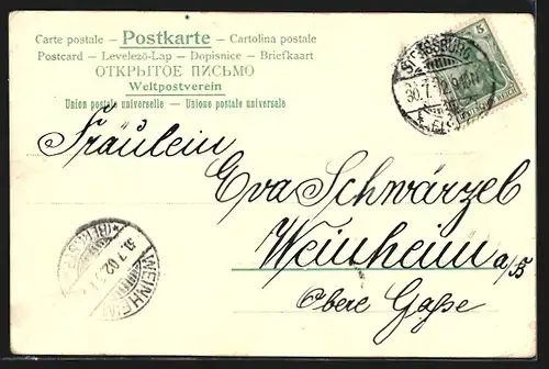 Lithographie Strassburg i. Els, Strassburgerin vor dem Münster, Wappen