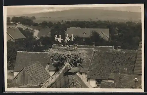 AK Dossenheim, Teilansicht mit Storchennest aus der Vogelschau