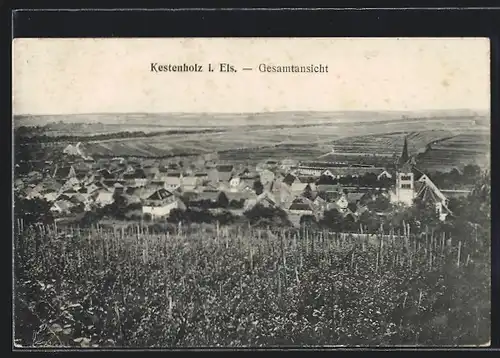 AK Kestenholz i. Els., Gesamtansicht mit Fernblick aus der Vogelschau