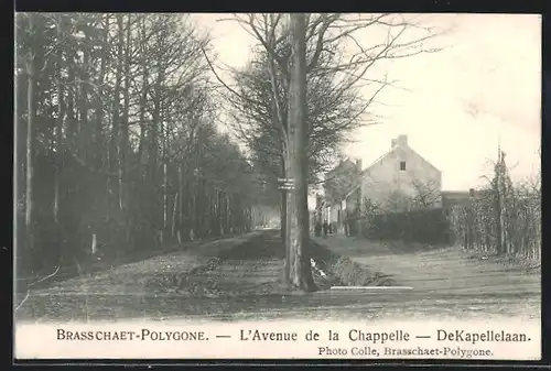AK Brasschaet-Polygone, De Kapellelaan
