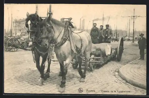 AK Anvers, Chevaux de corporations