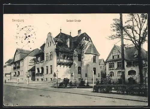 AK Bernburg, Solbad-Strasse mit Baum