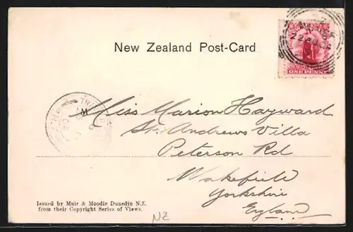 AK Wellington, Panorama from Wharf