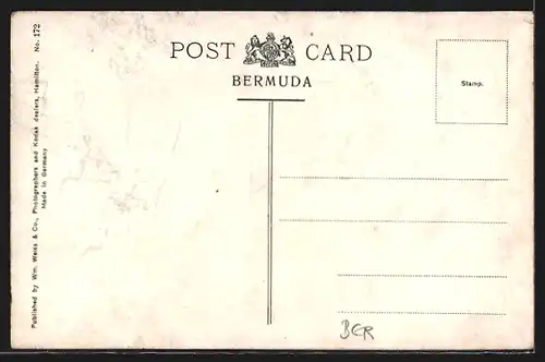 AK Hamilton, Victoria Street and A. M. E. Church