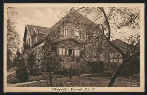 AK Fallingbostel, Hotel-Pensionat Scharfe