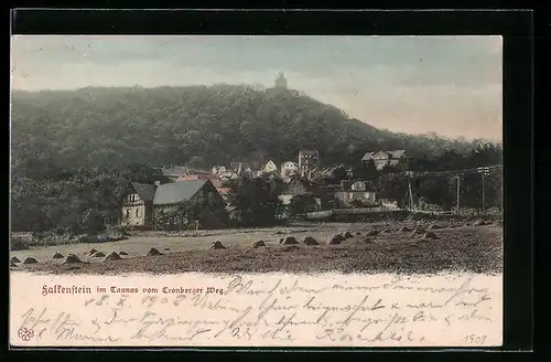 AK Falkenstein im Taunus, Generalansicht vom Cronberger Weg gesehen