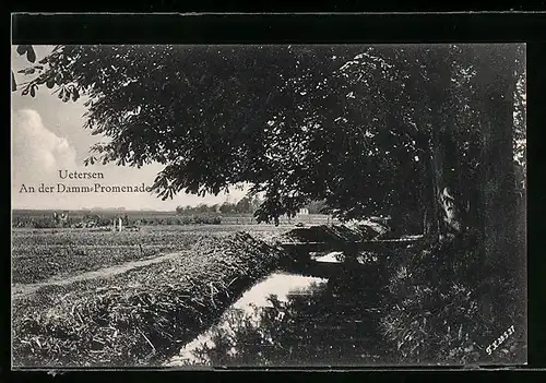 AK Uetersen, An der Damm-Promenade