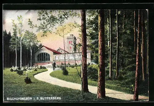 AK Bischofswerda i. S., Partie am Butterberg