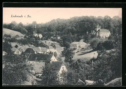 AK Liebstadt i. Sa., Ortstotale mit Blick zur Kirche