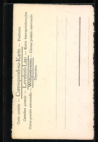 Künstler-AK Frau im Abendkleid mit Sehhilfe und Hut