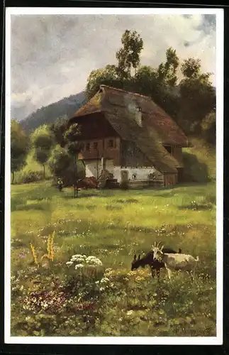 Künstler-AK Heinrich Hoffmann: Ziegen auf blühender Wiese