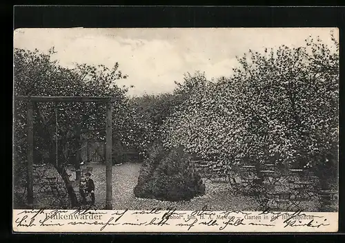 AK Hamburg-Finkenwerder, Garten in der Blütenpracht