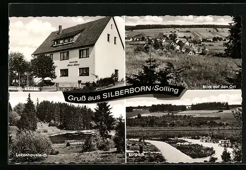 AK Silberborn /Solling, Blick auf den Ort, Pension Haus Luise, Lakenhausteich, Kurpark
