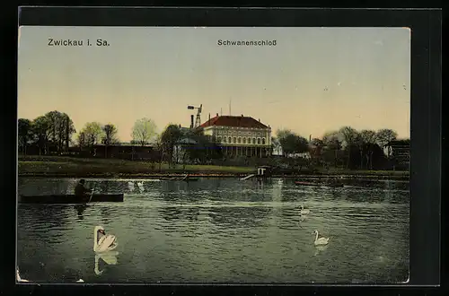 AK Zwickau i. Sa., Schwäne am Schwanenschloss