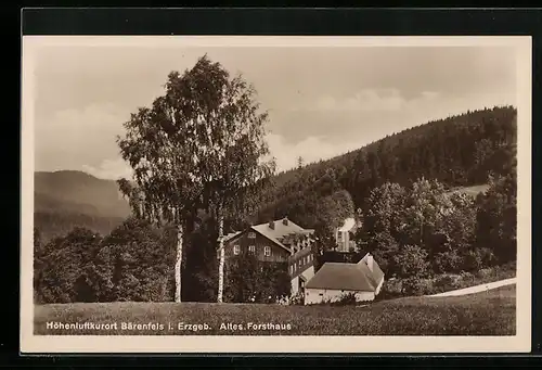 AK Bärenfels im Erzgeb., Altes Forsthaus
