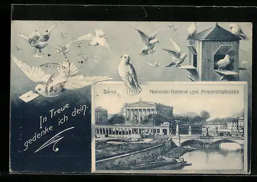 AK Berlin, National-Galerie und Friedrichsbrücke, Brieftauben am Vogelhaus