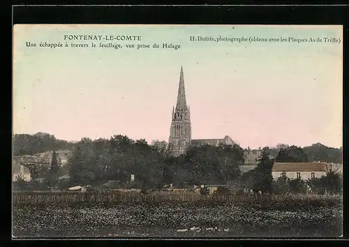 AK Fontenay-Le-Comte, Une Echappe a travers le Feuillage, Vue prise du Halage