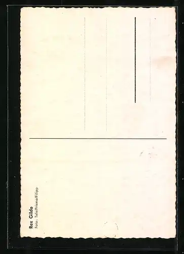 AK Musiker Rex Gildo lächelnd an einer Wand stehend