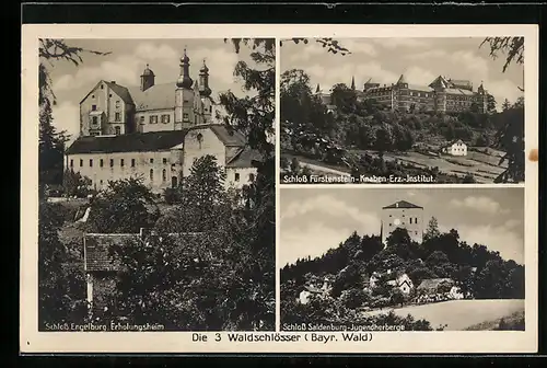 AK Engelburg, Schloss mit Erholungsheim, Schloss Fürstenstein, Schloss Saldenburg