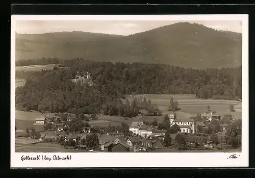 AK Gotteszell /Bayr. Ostmark, Ortspartie mit Kirche