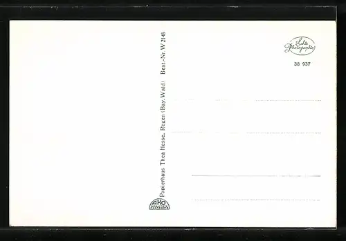 AK Gotteszell /Bayr. Ostmark, Ortspartie mit Kirche