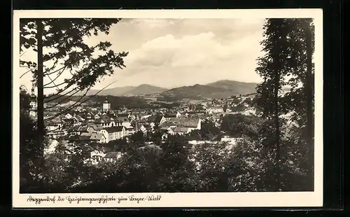 AK Deggendorf, Generalansicht der Stadt vom Wald aus