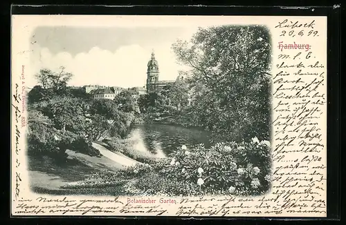 AK Hamburg-St.Pauli, im Botanischen Garten