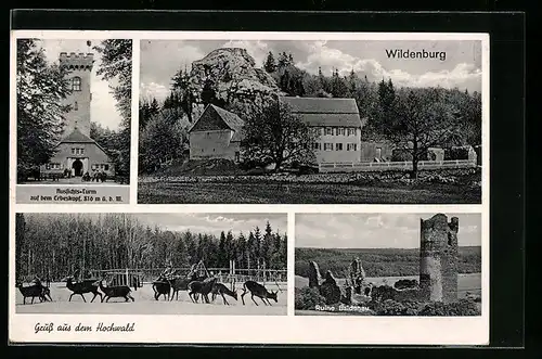 AK Wildenburg im Hochwald, am Aussichts-Turm, Ruine Baldenau