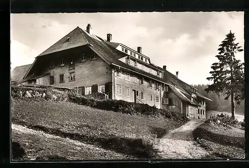 AK Todtnauberg im Schwarzwald, das Ferienheim Herder