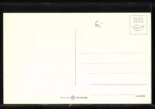AK Handelsschiff M.S. Guayana in Küstennähe