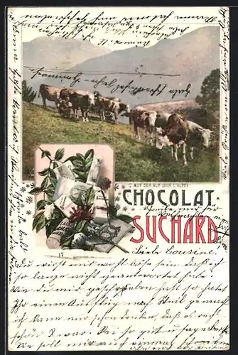 AK Chocolat Suchard, Kühe auf der Alp, Reklame Kakao